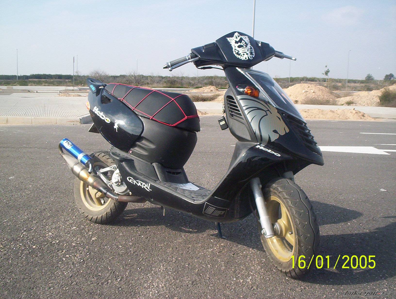 Photo 276370