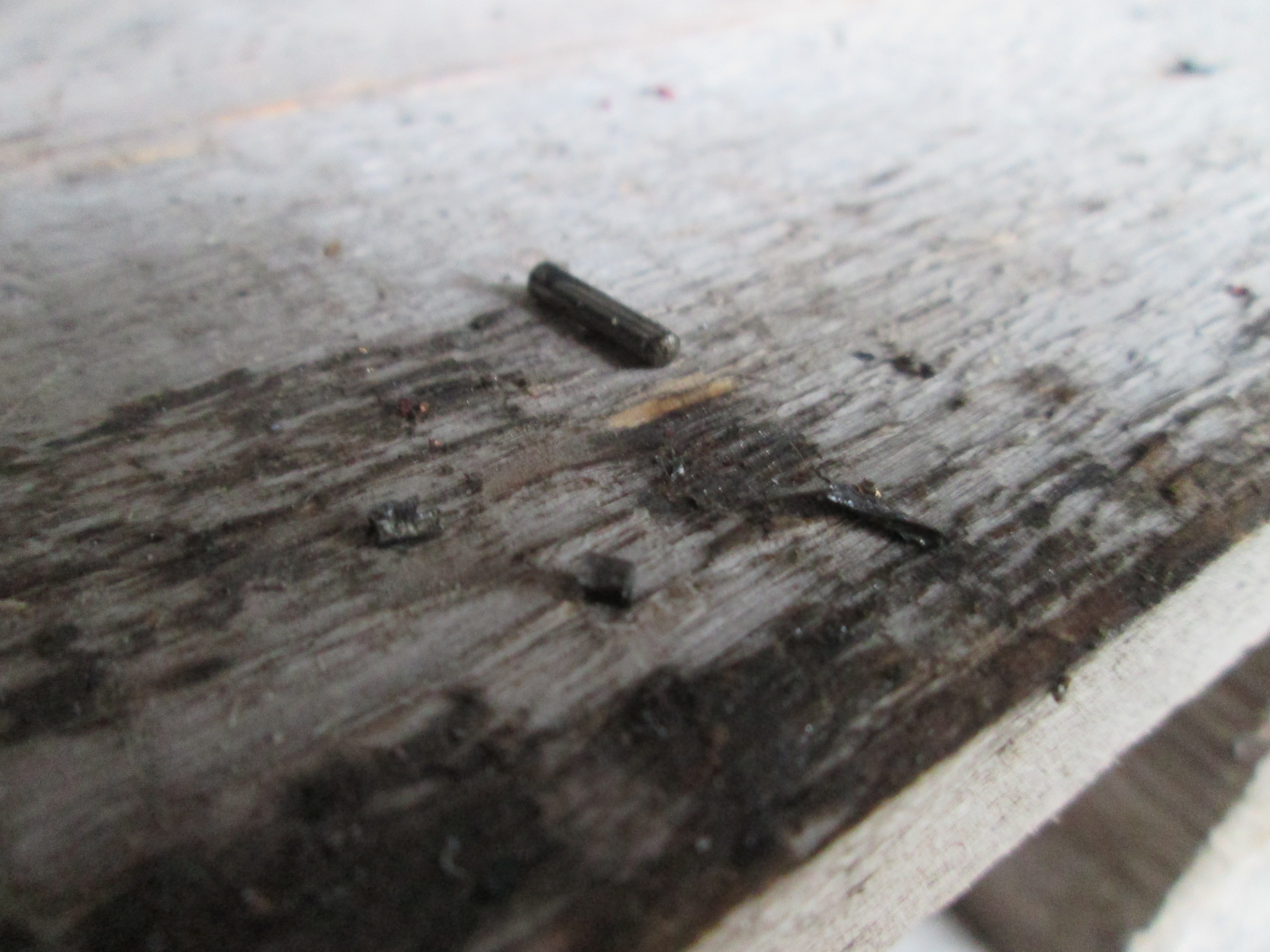 Photo 2763776