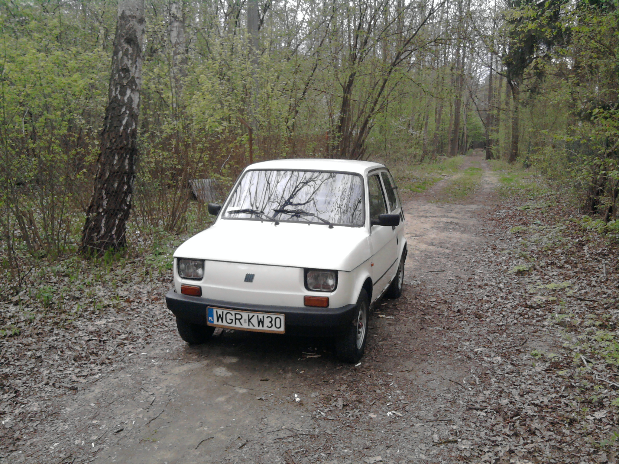 Photo 2763787