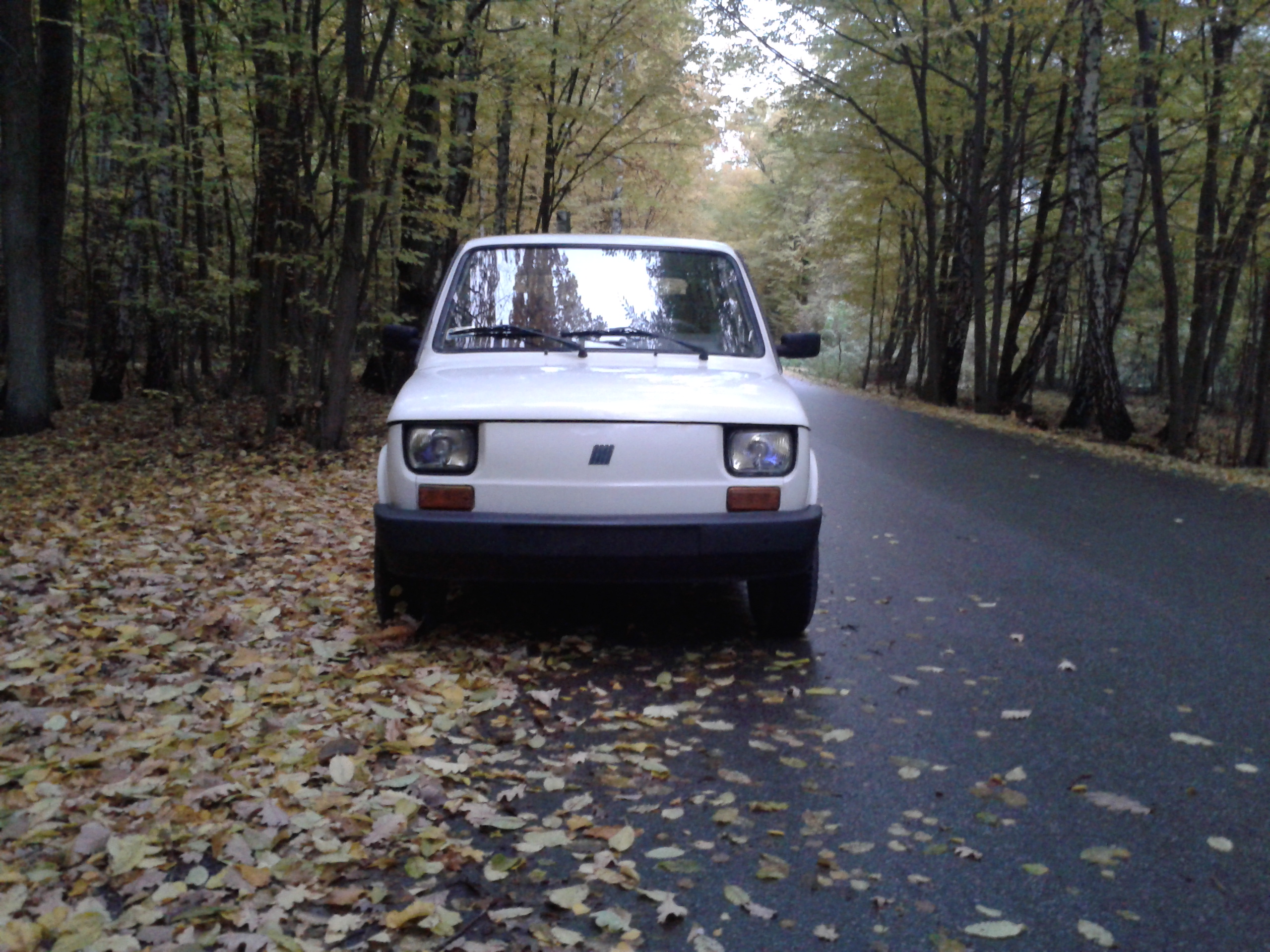 Photo 2763803