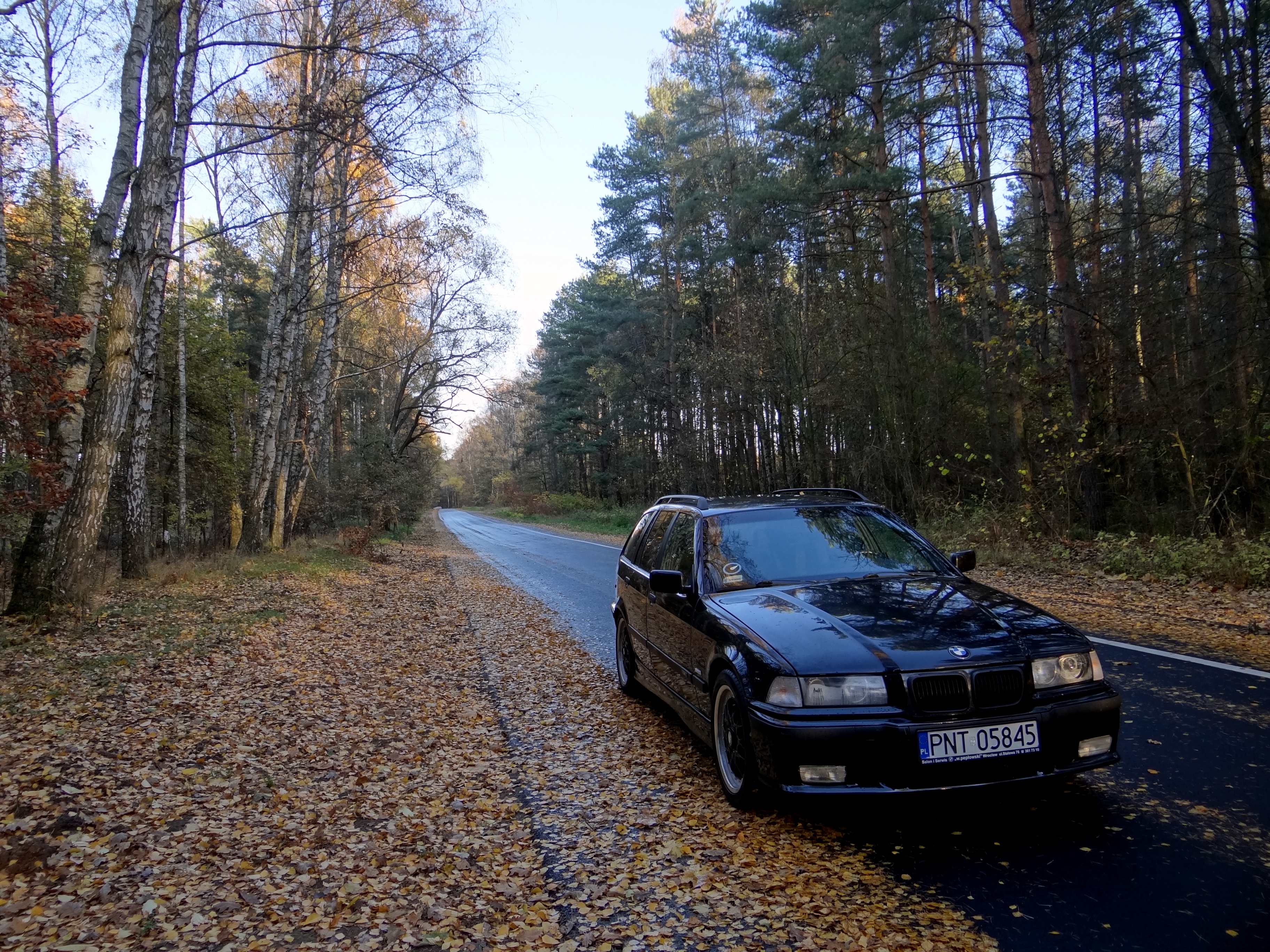 Photo 2763997