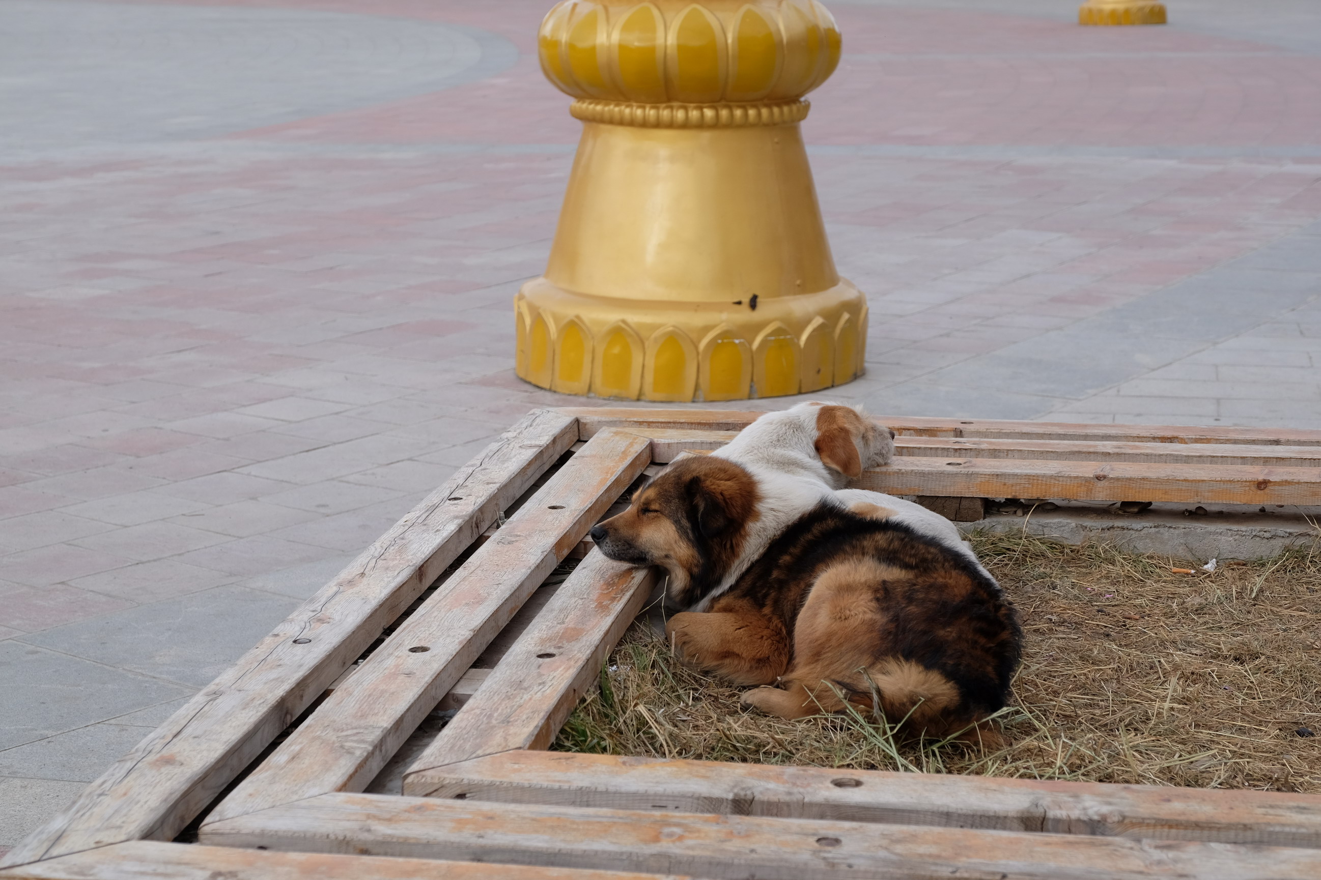 Photo 2764057