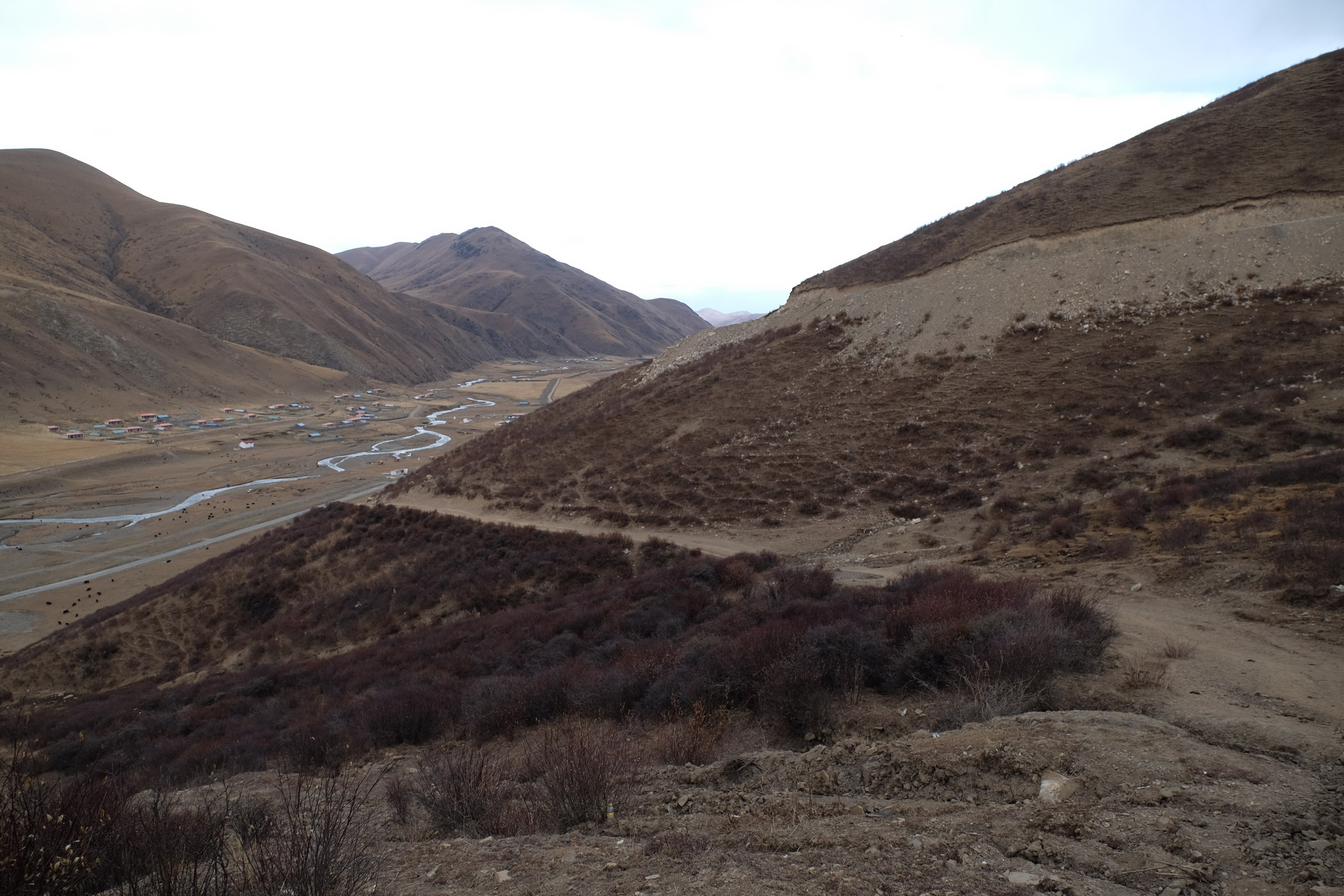 Photo 2764063