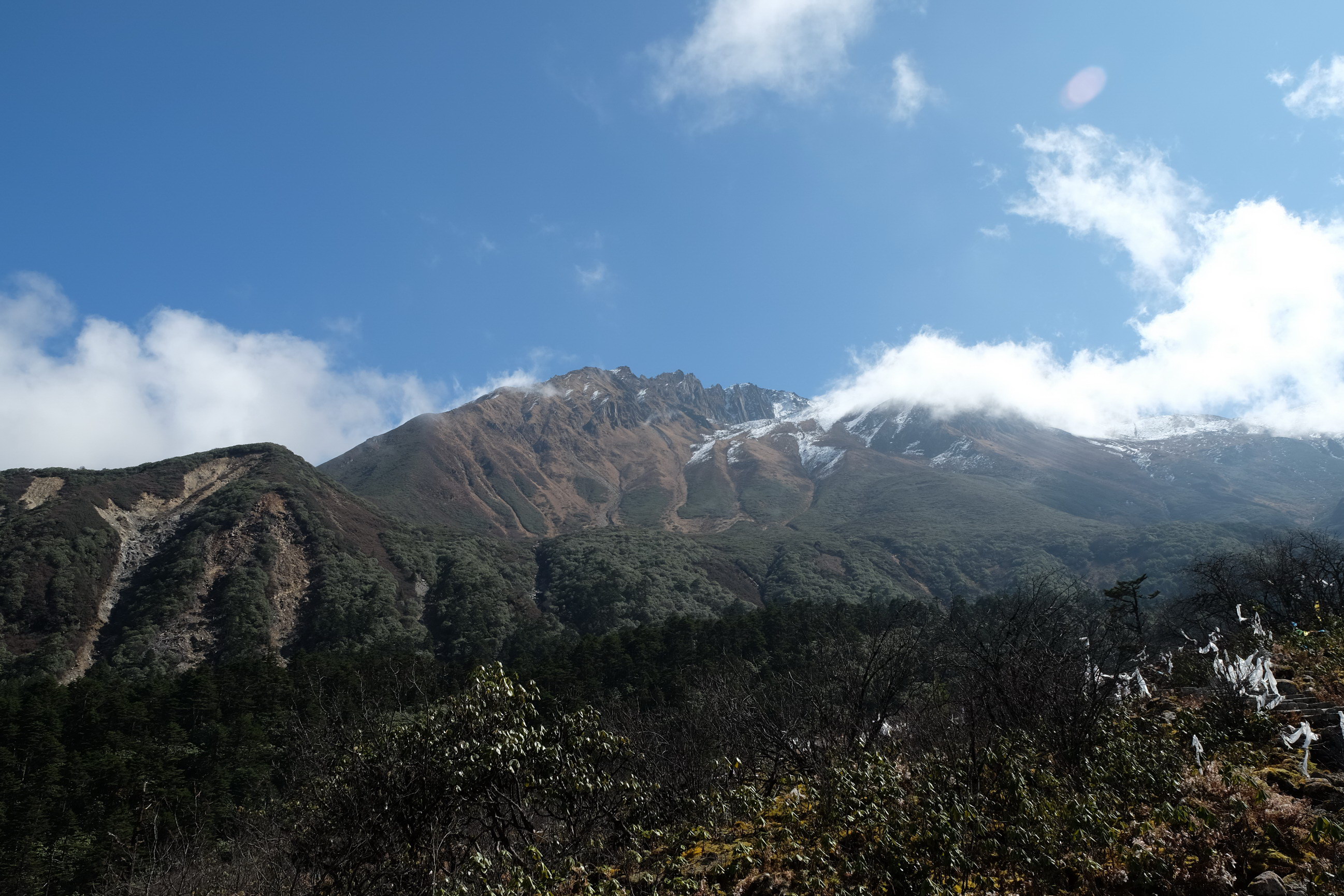 Photo 2764133