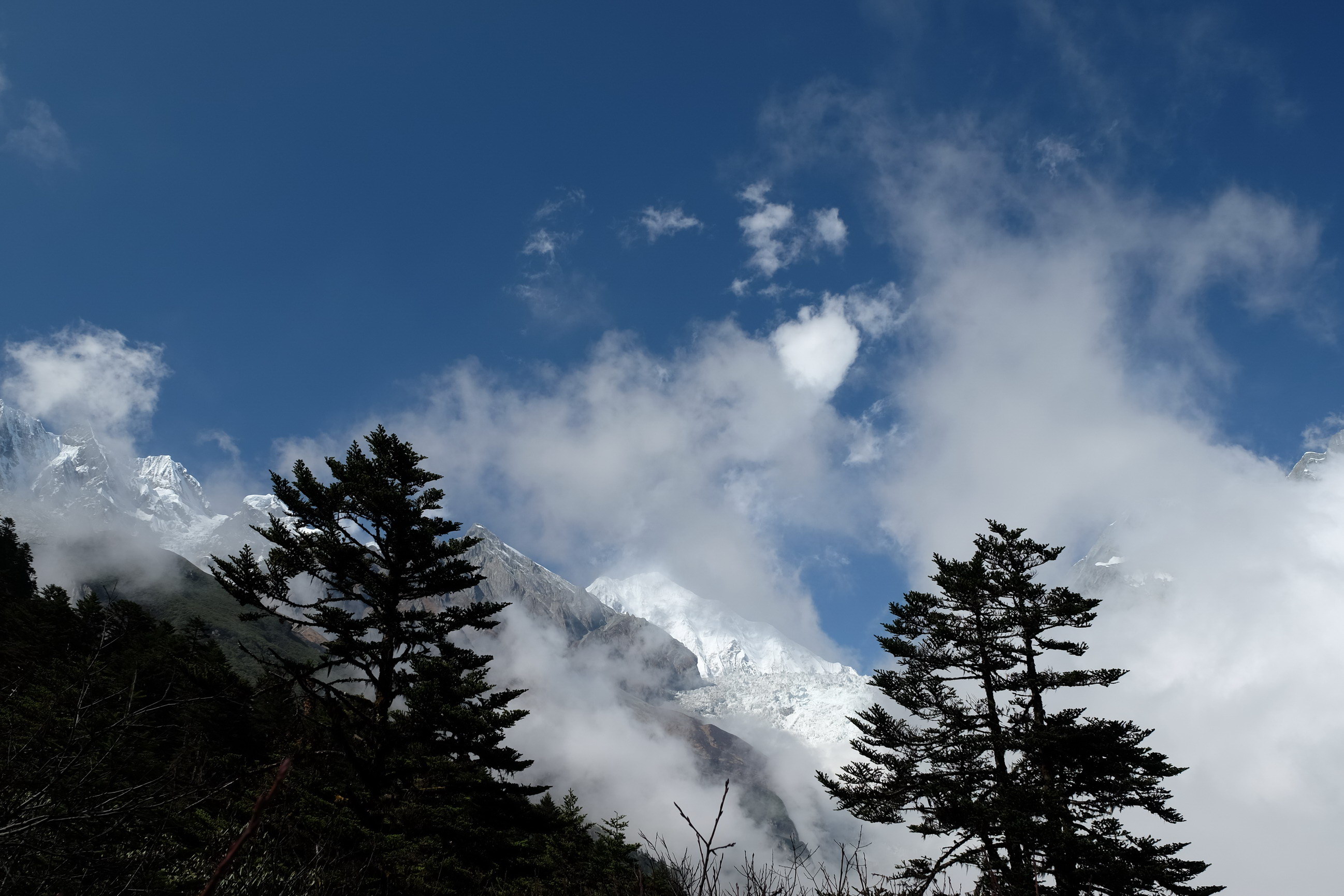 Photo 2764134