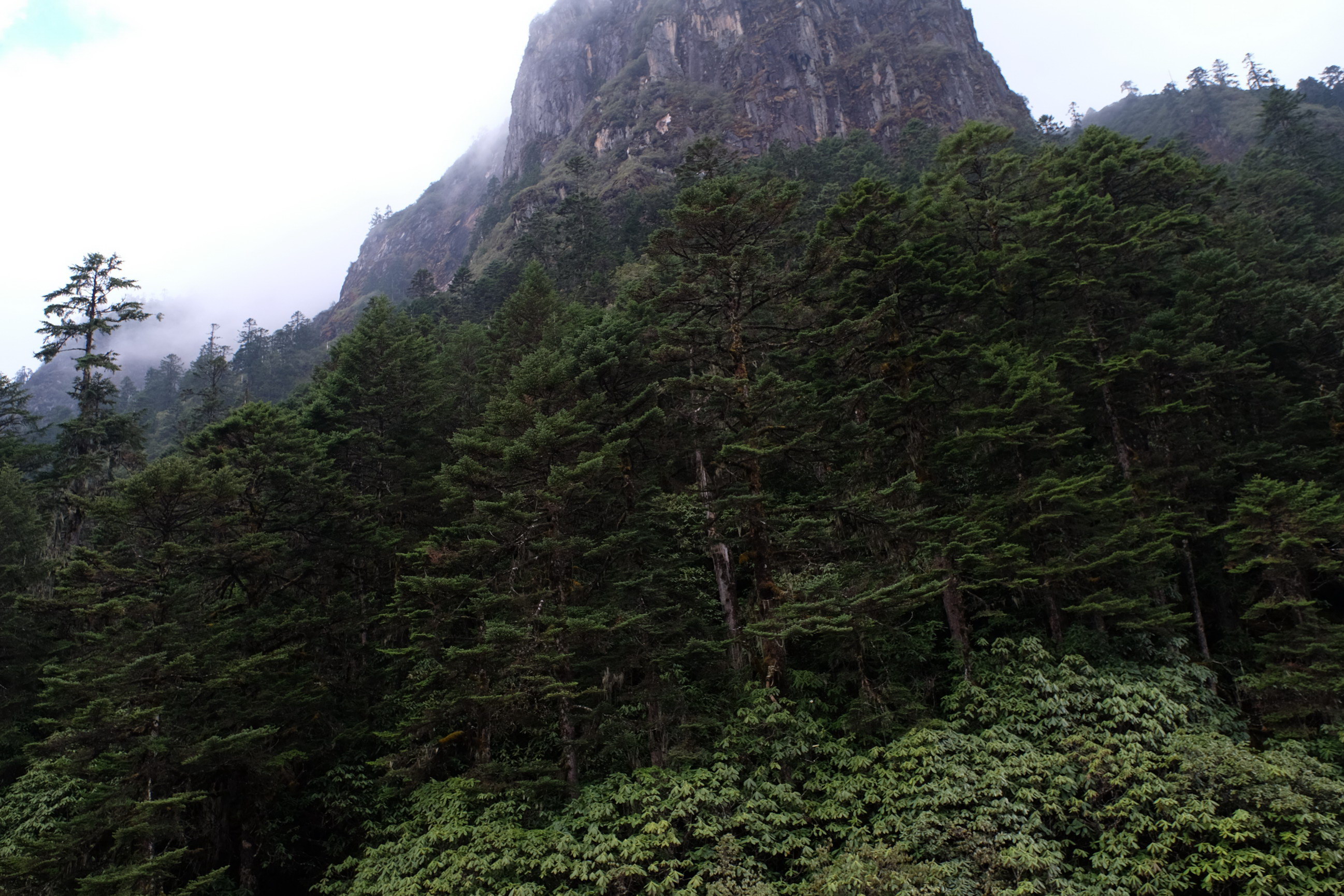 Photo 2764136