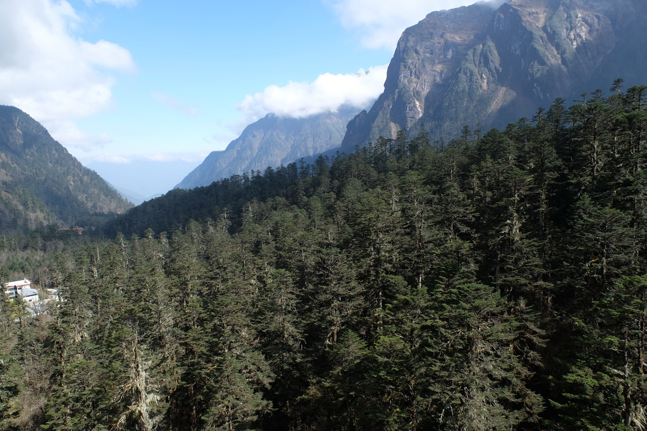 Photo 2764139