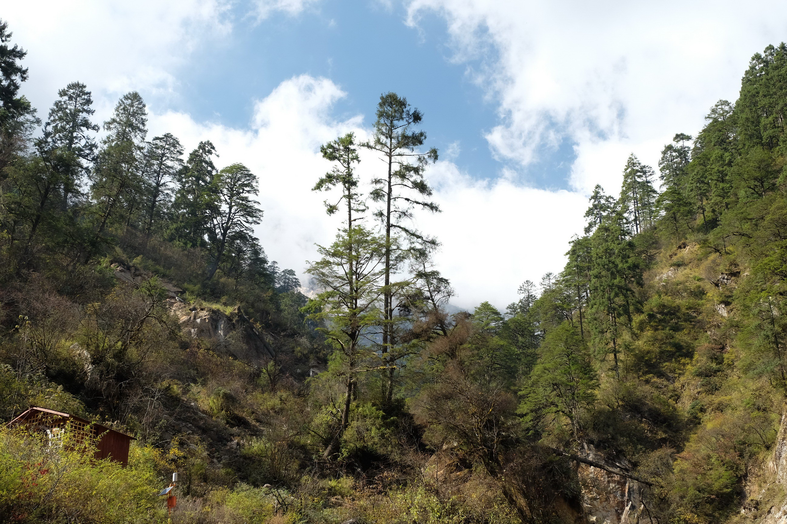 Photo 2764142