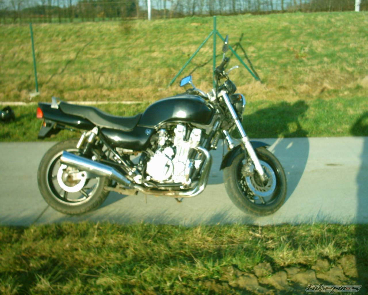 Photo 276426