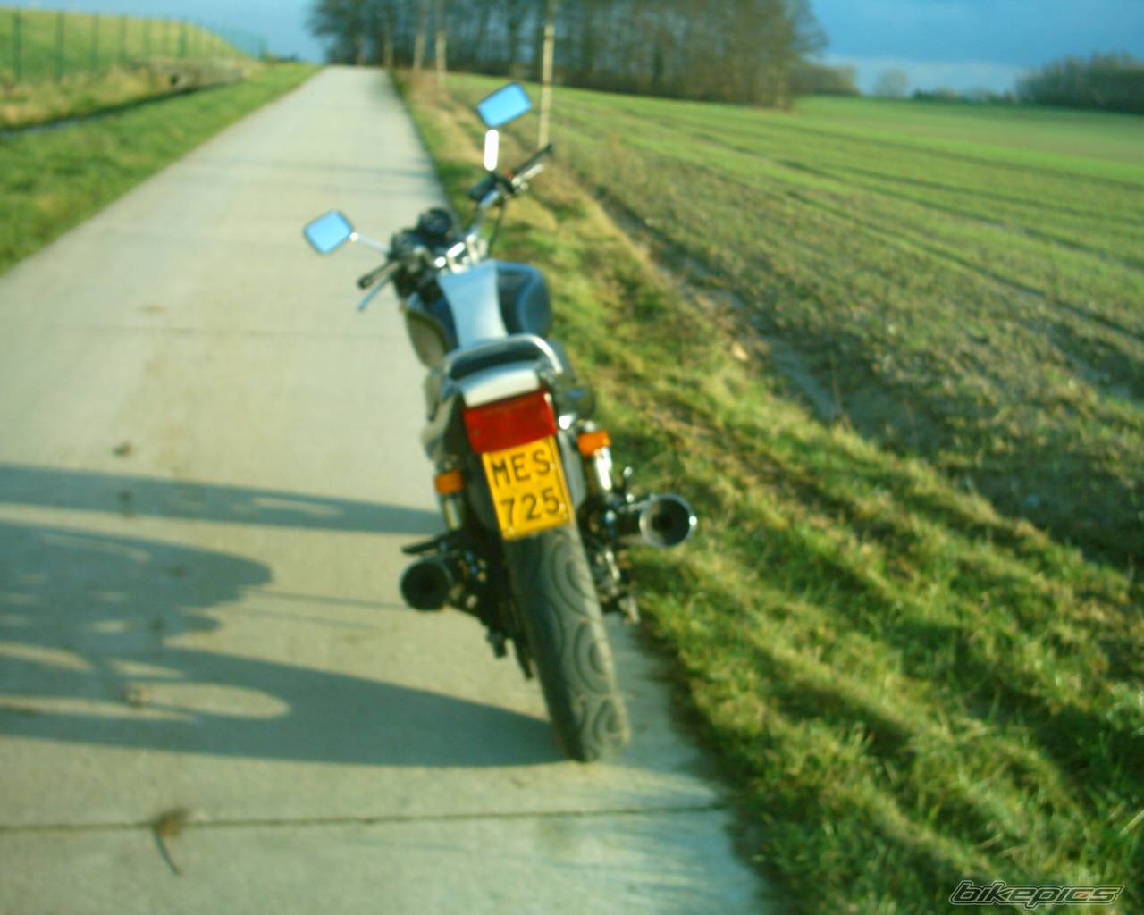 Photo 276427