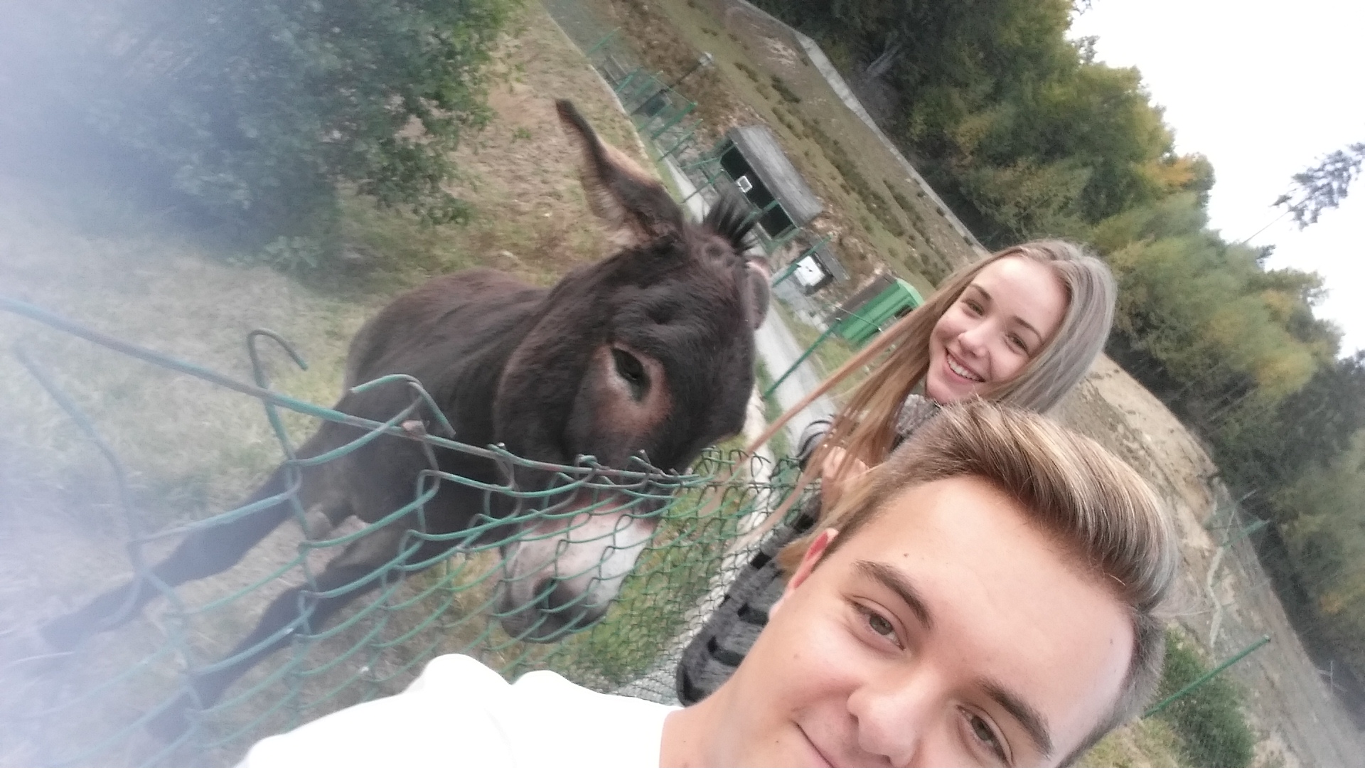 Photo 2764281