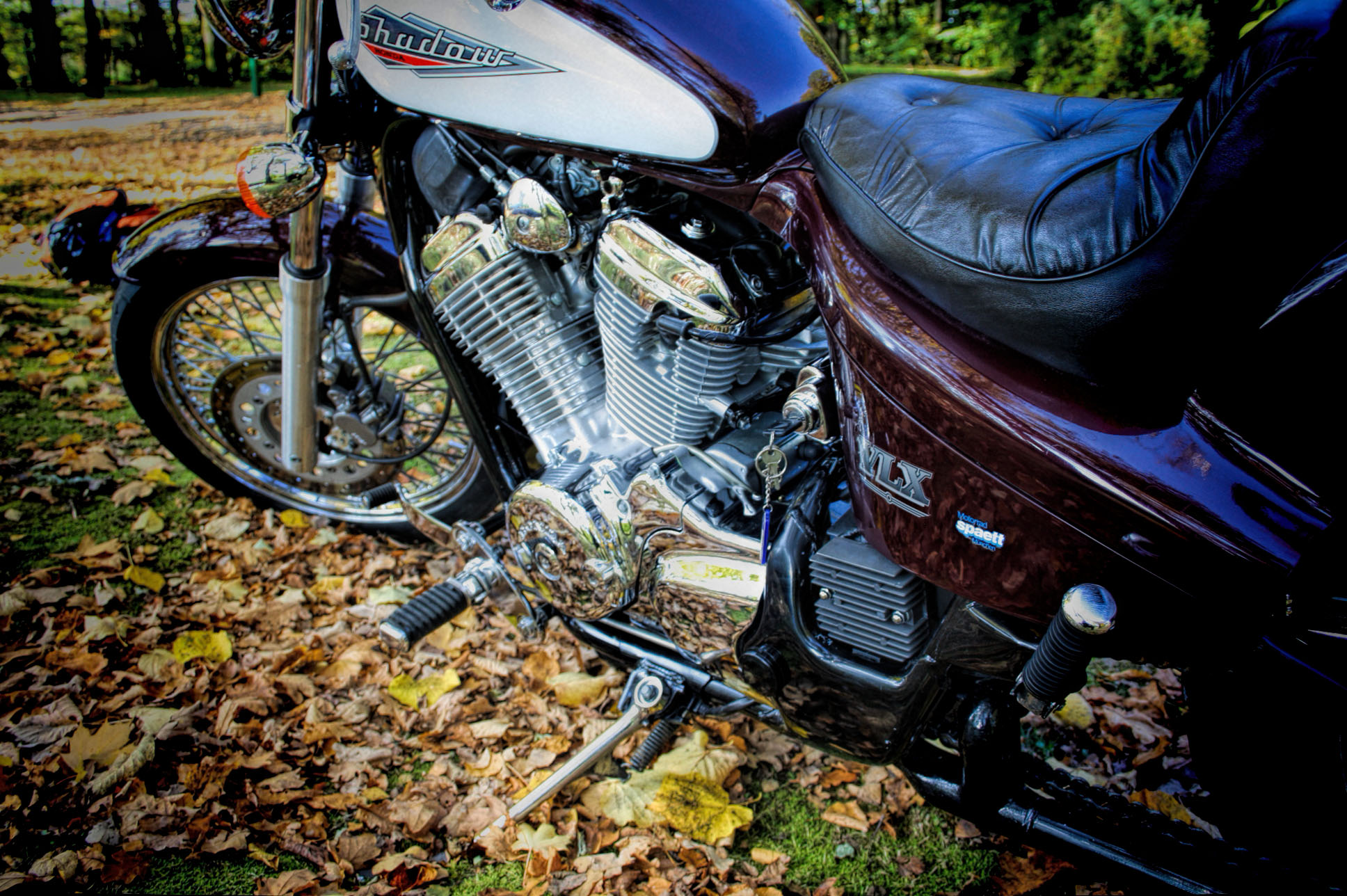 Photo 2764348