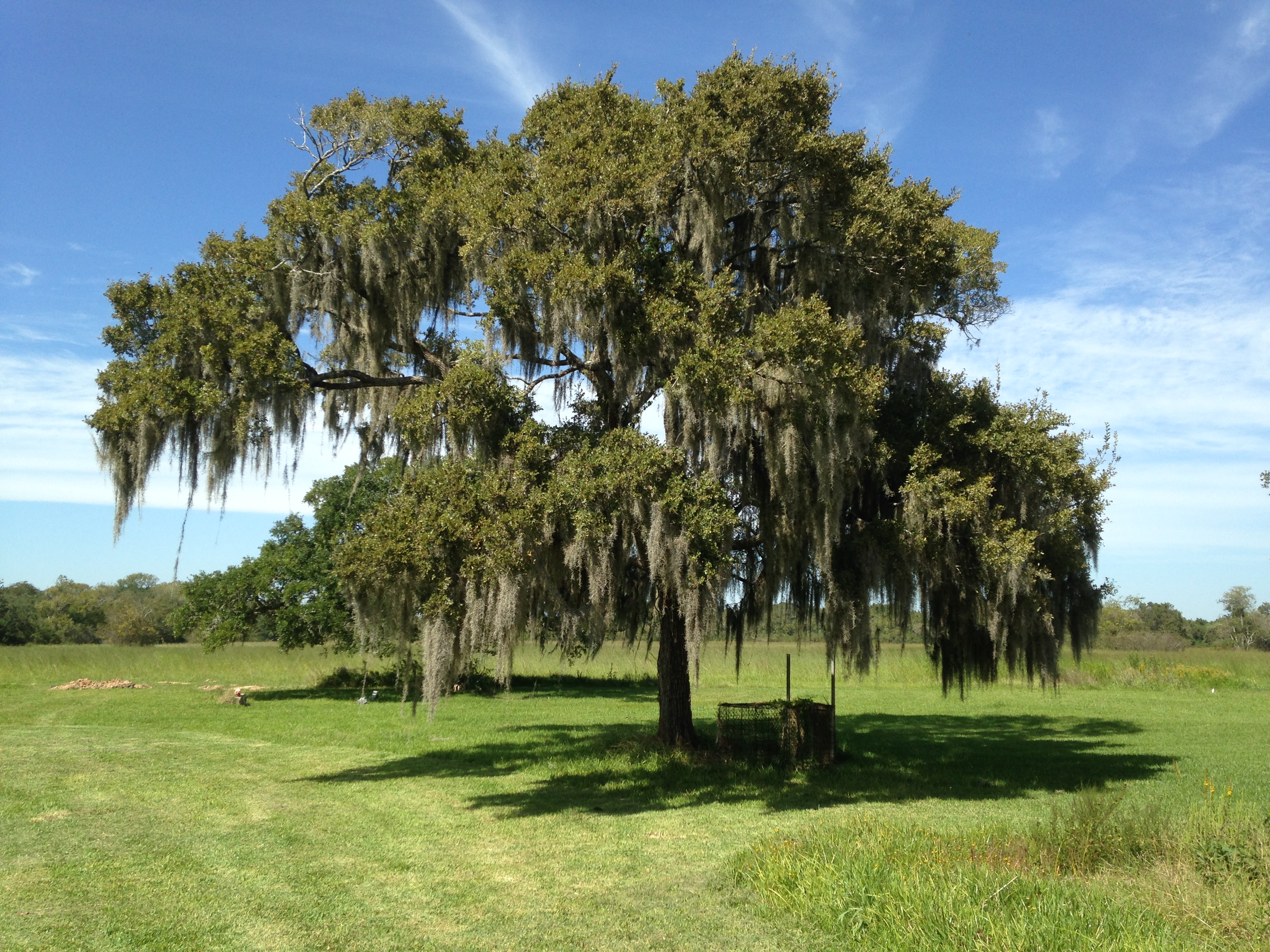 Photo 2764407