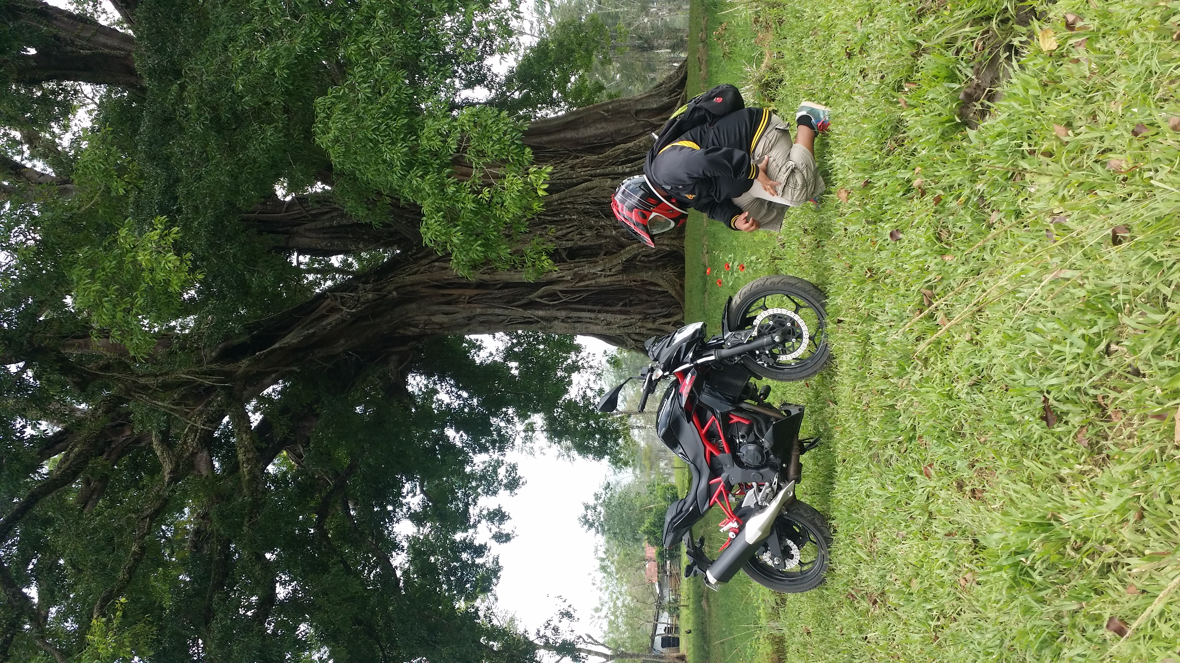 Photo 2764441
