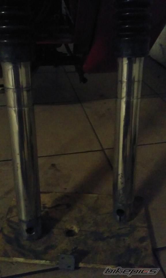 Photo 2764475