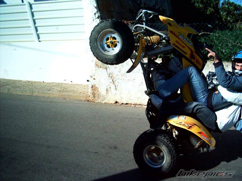 Photo 276450