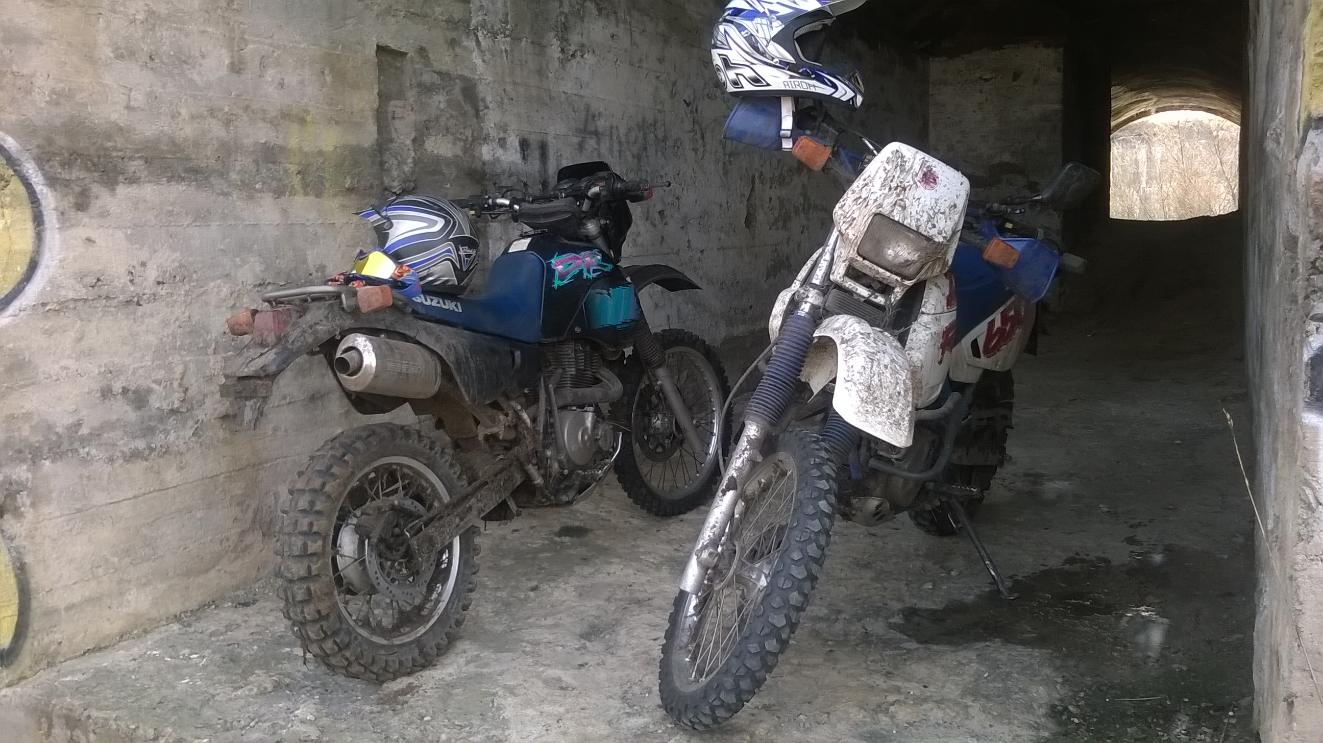 Photo 2764528