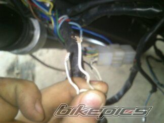 Photo 2764532