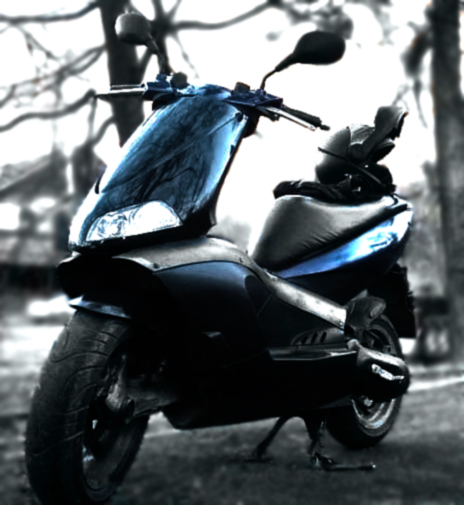 Photo 2764559