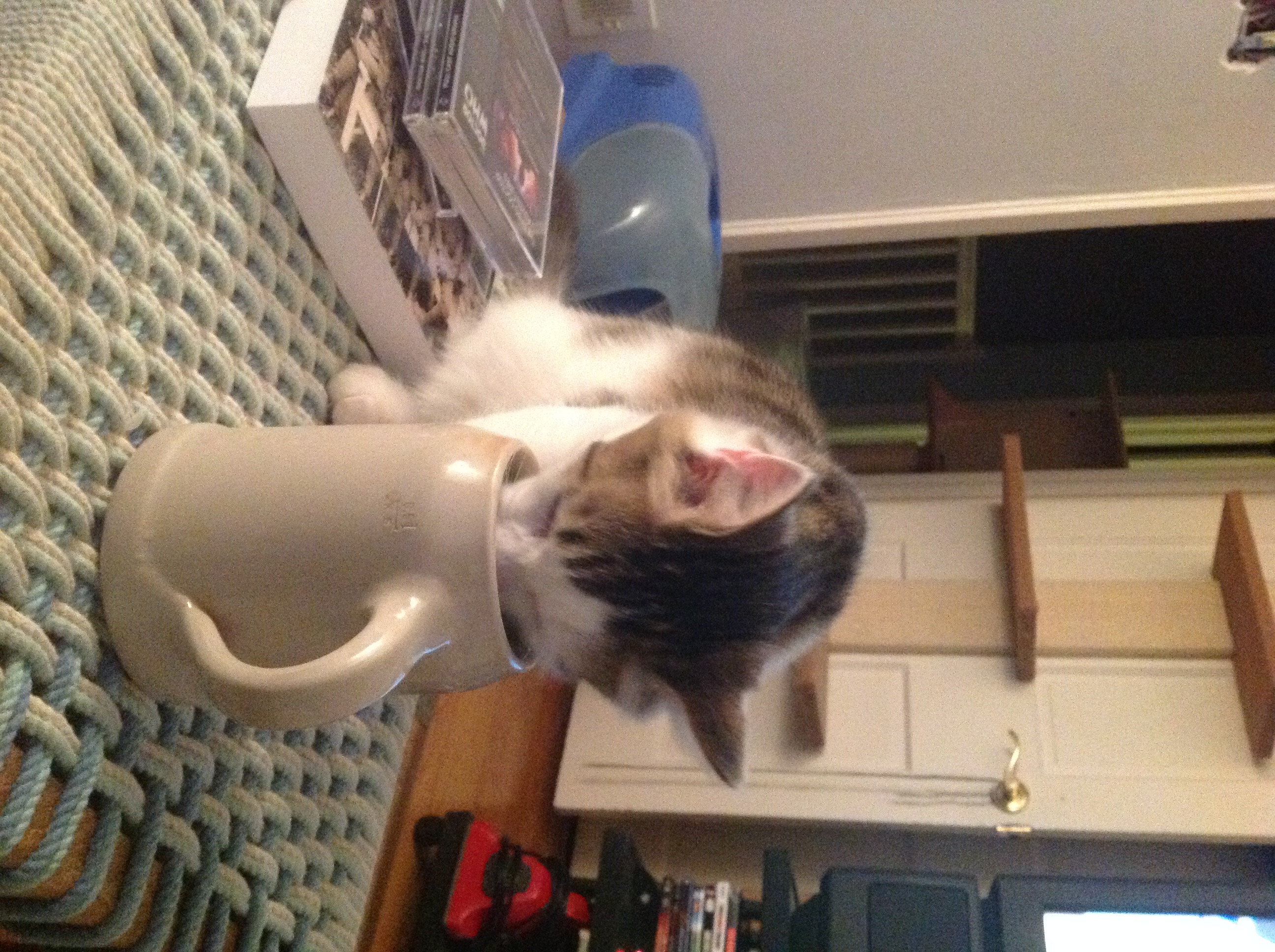 Photo 2764627
