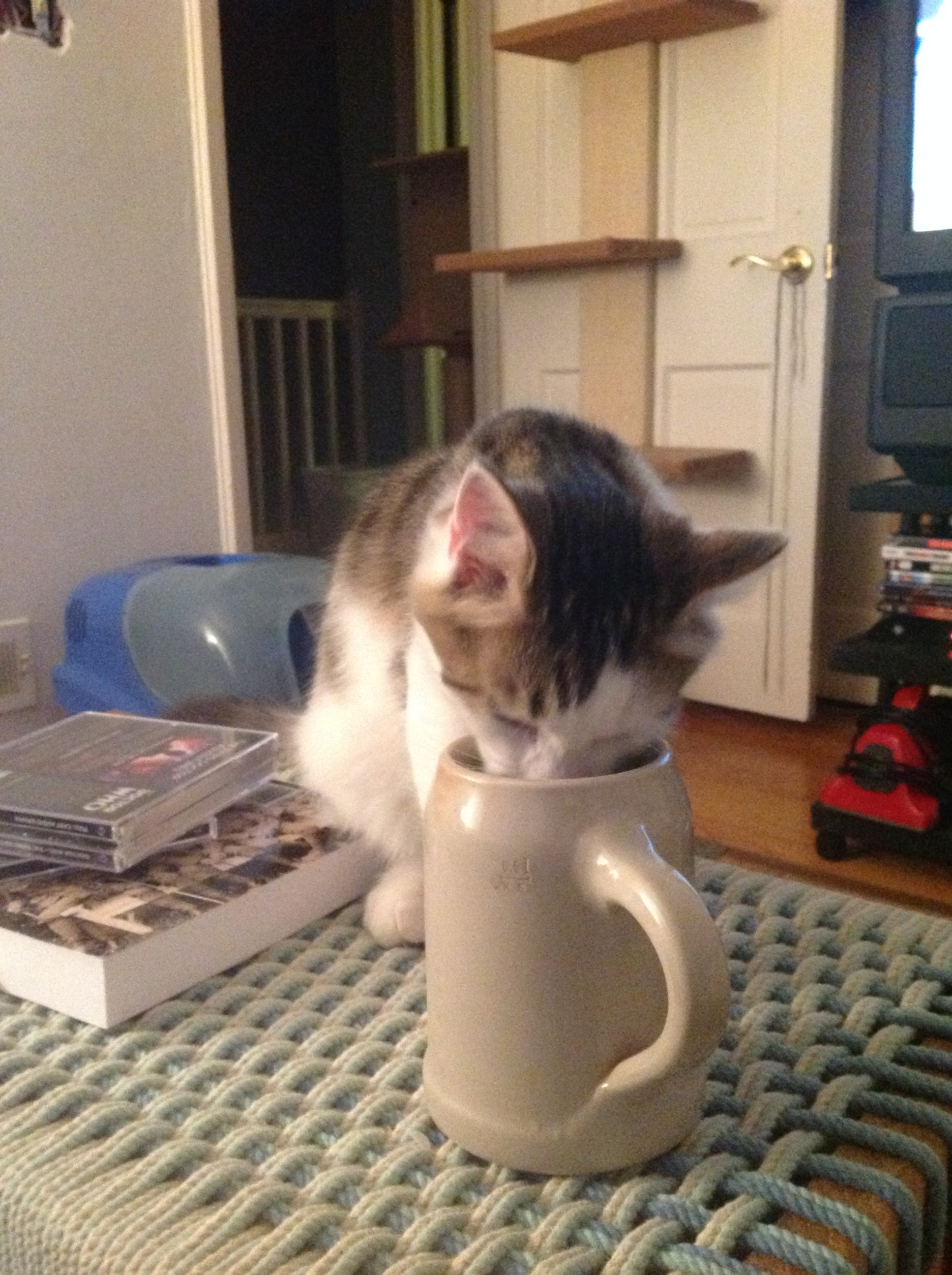 Photo 2764628