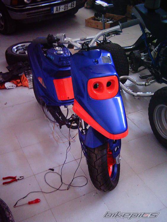 Photo 276467