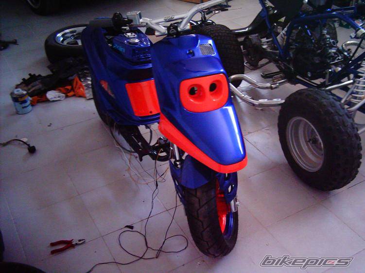 Photo 276469