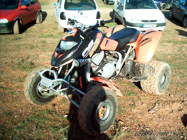 Photo 276472