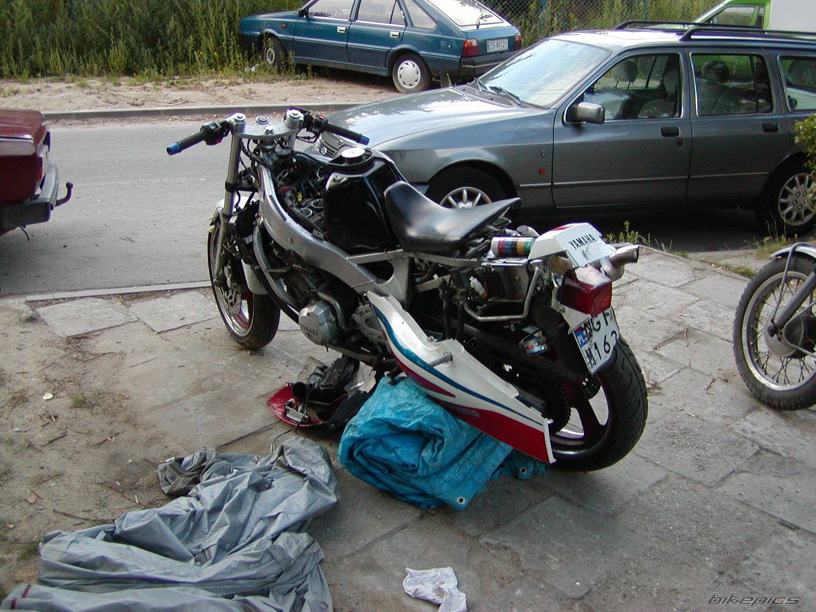 Photo 276479