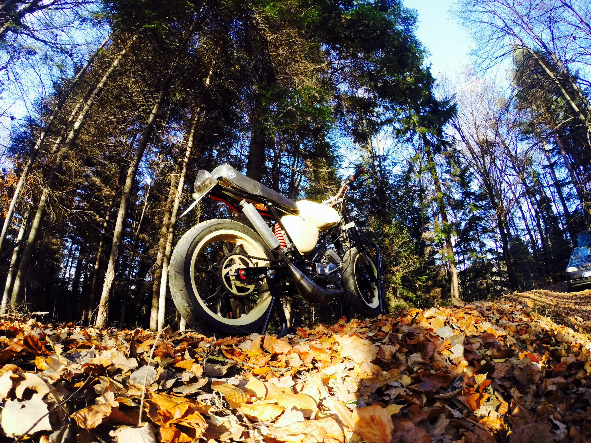 Photo 2764813