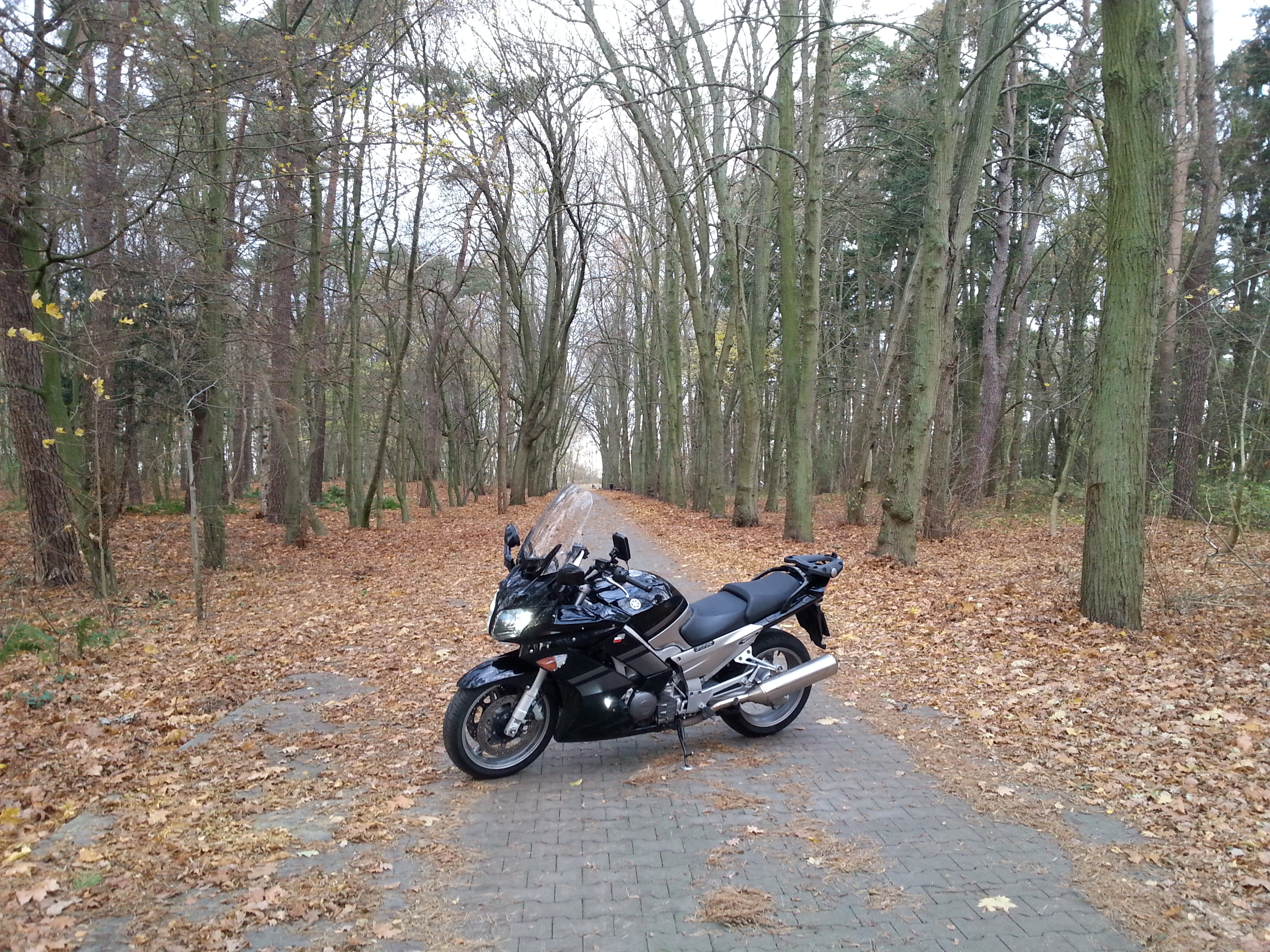 Photo 2764852