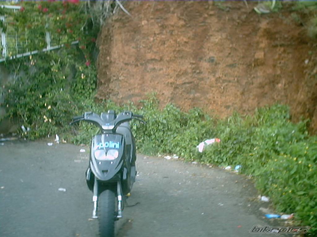 Bike Photo 276488