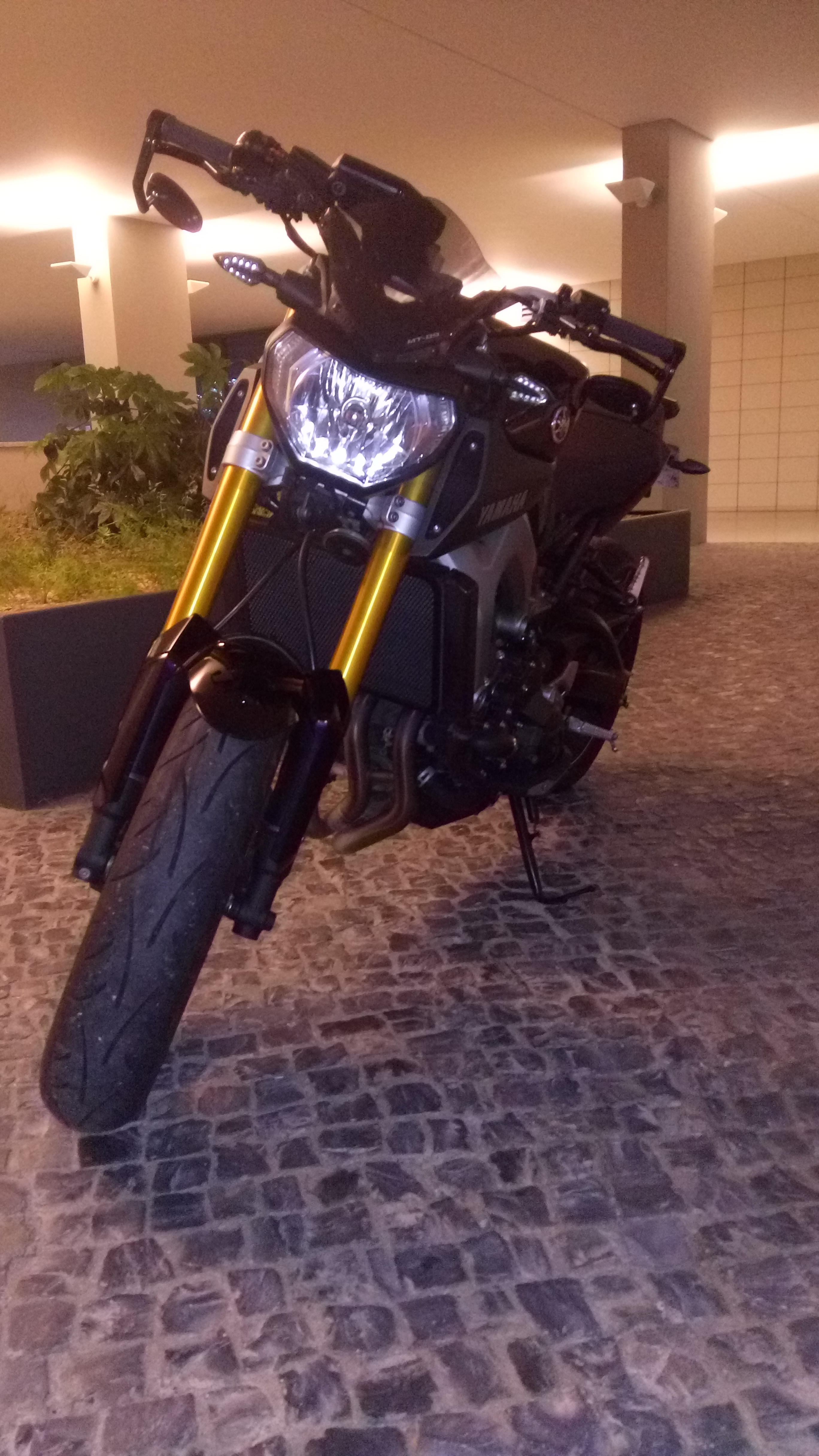 Photo 2764889