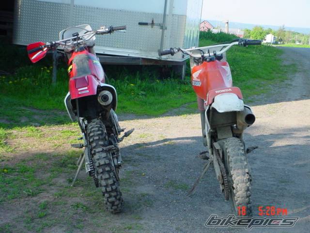 Photo 276490