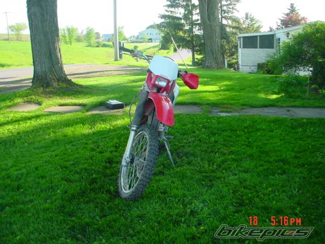 Photo 276491