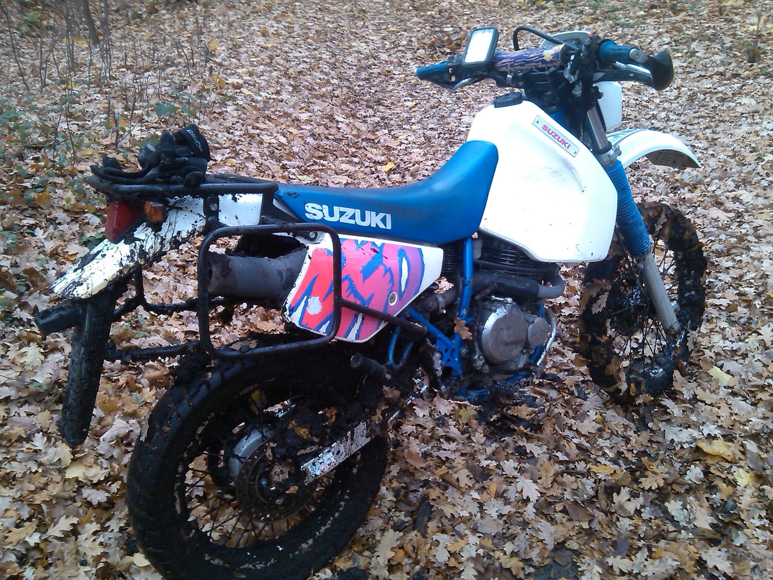 Photo 2764915