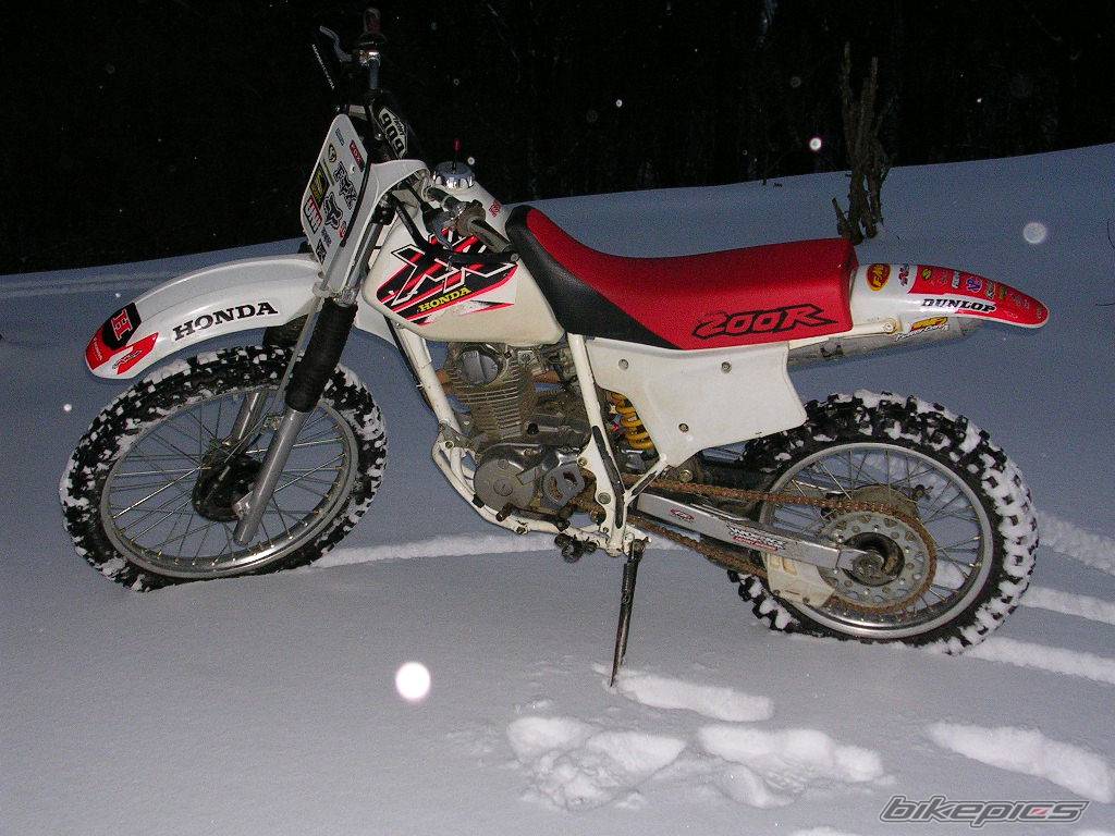 Photo 276506