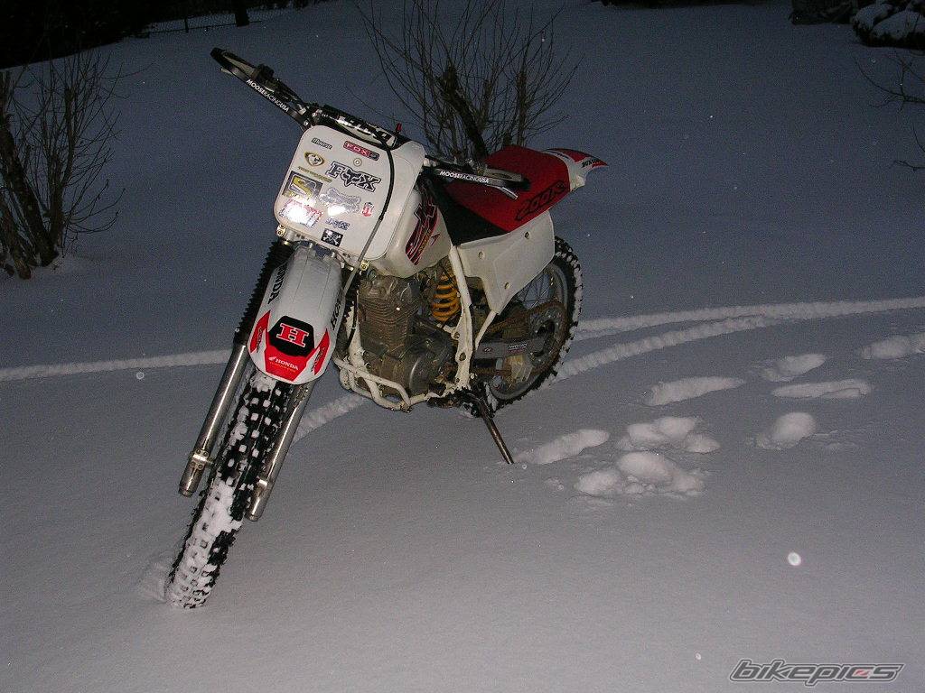 Photo 276507