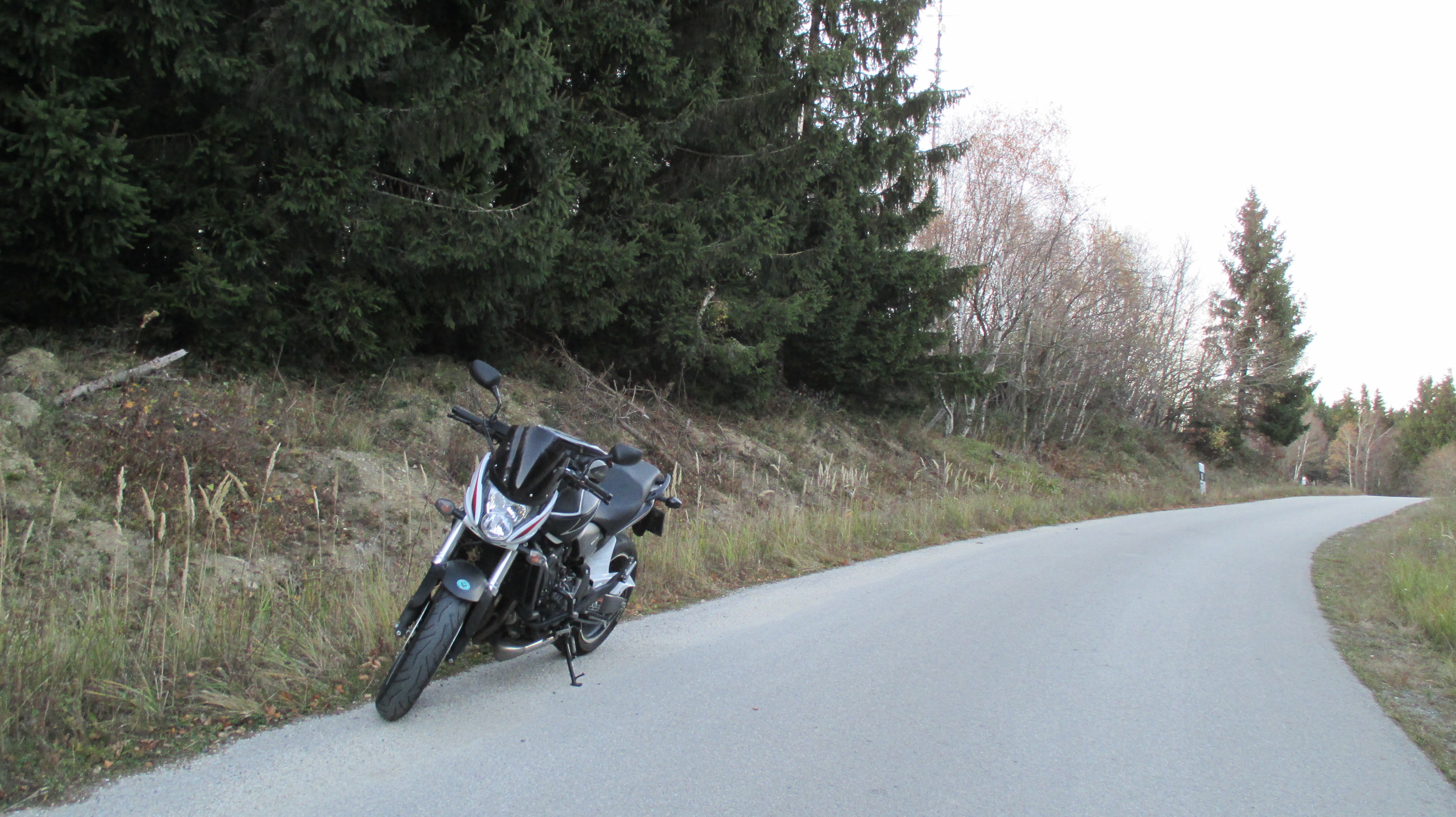 Photo 2765114