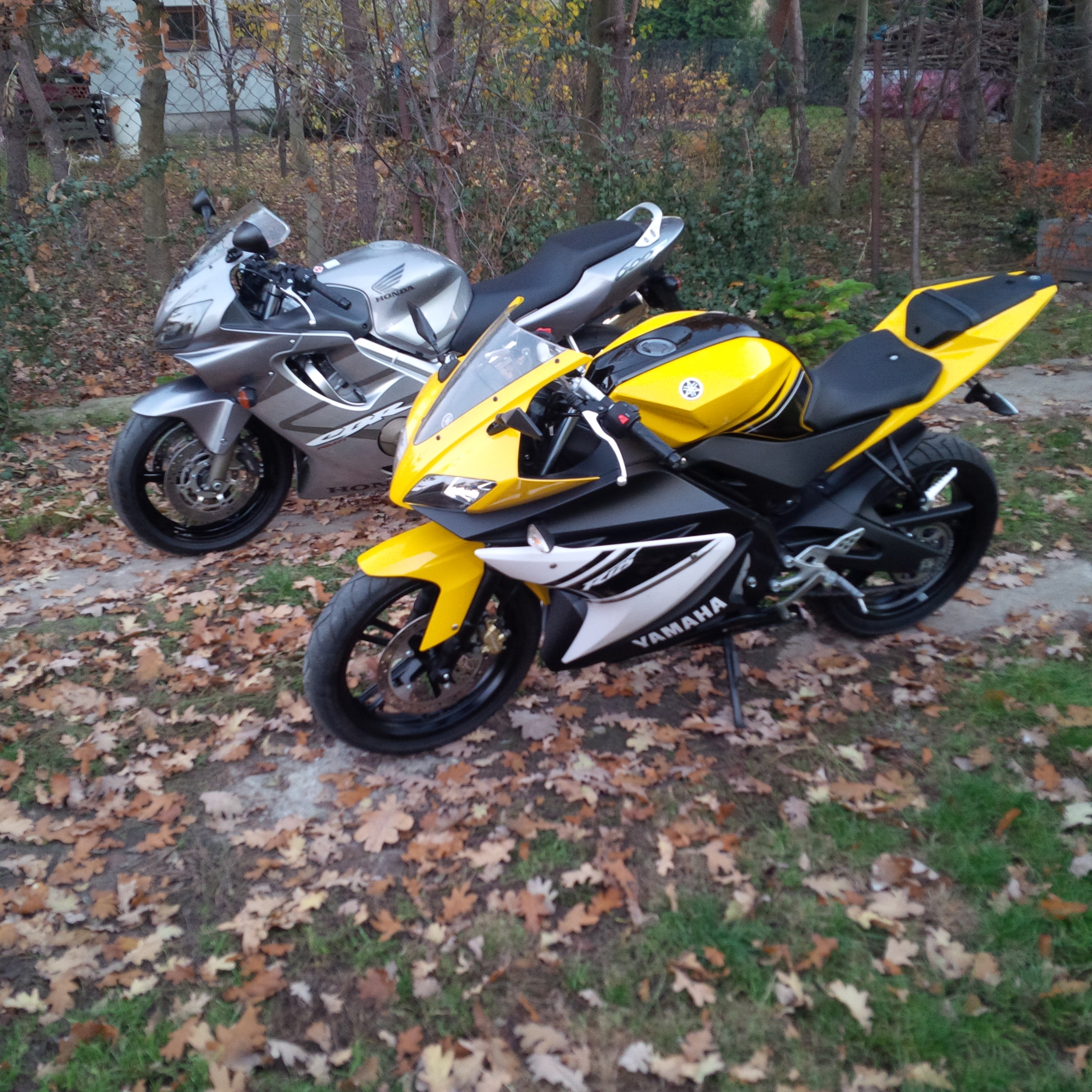 Photo 2765317