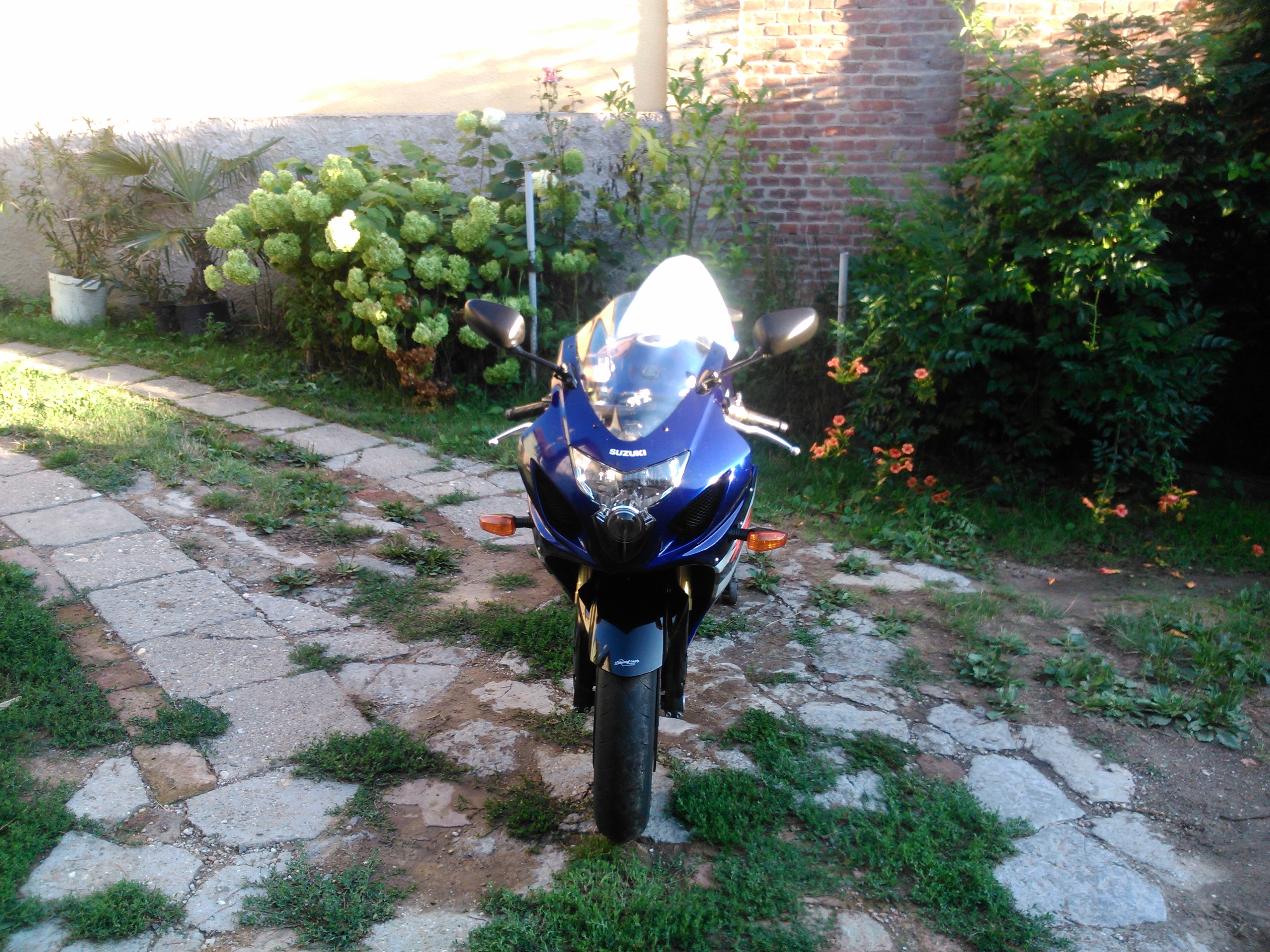 Photo 2765404