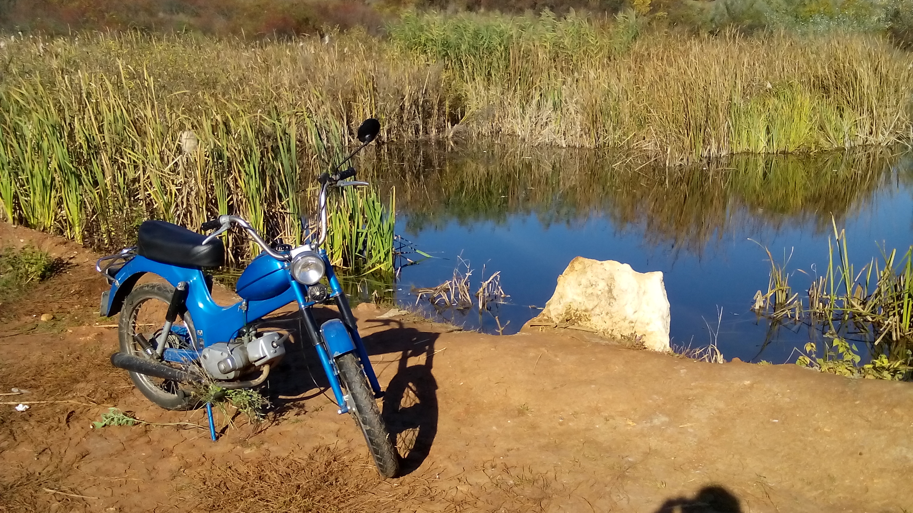 Photo 2765423