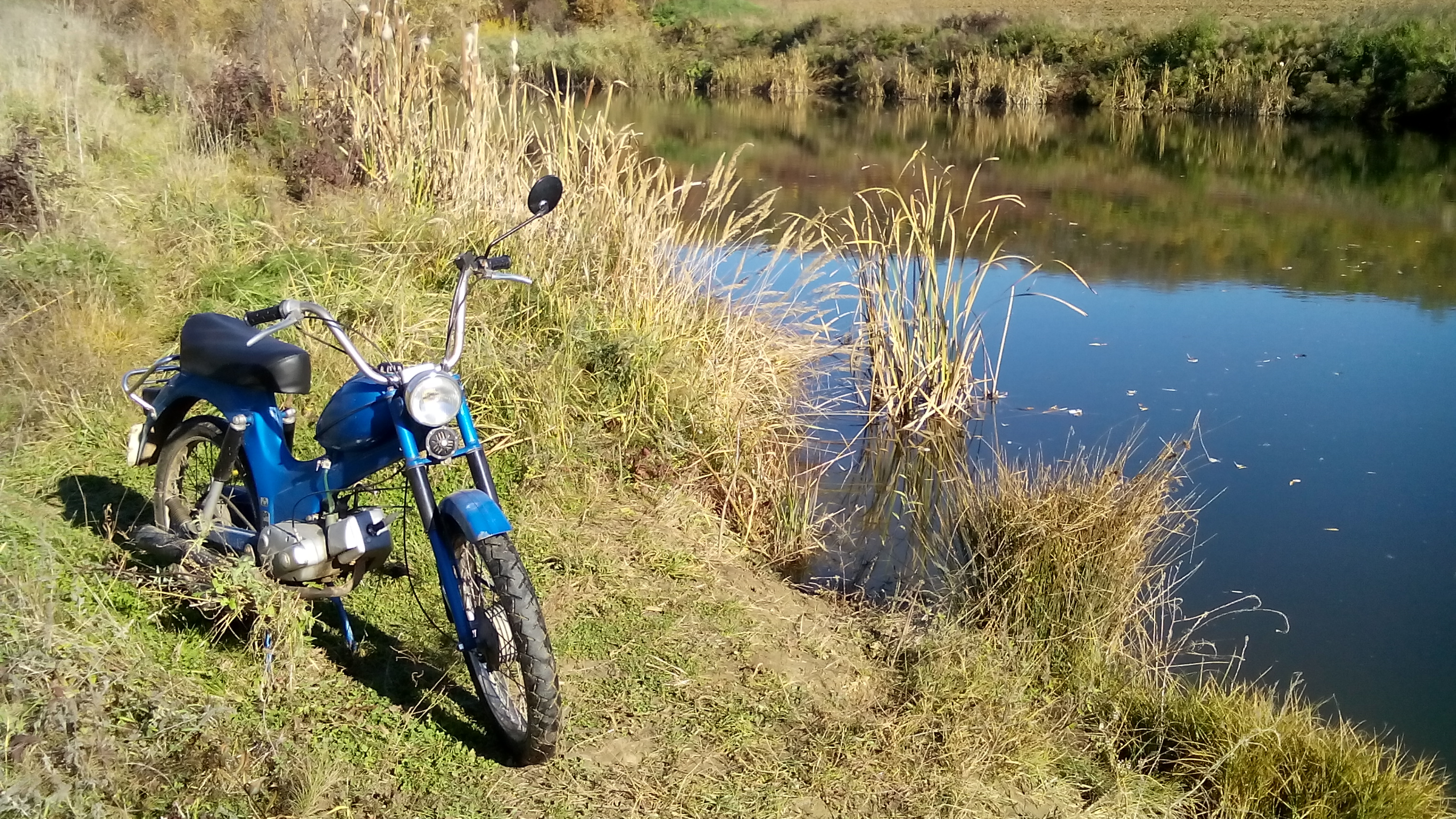 Photo 2765424