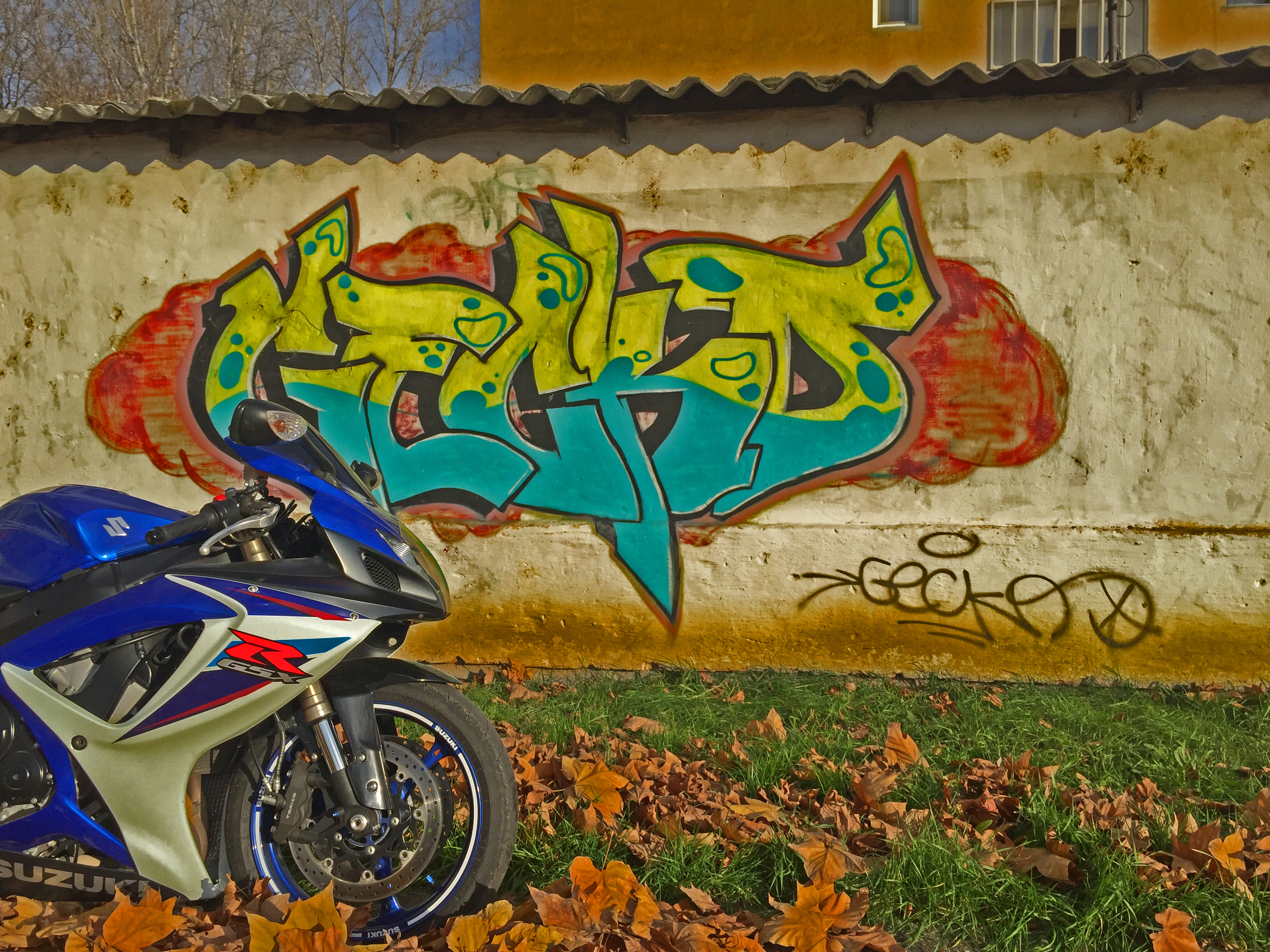 Bike Photo 2765439