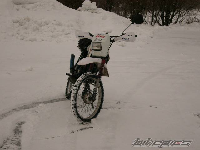 Photo 276546