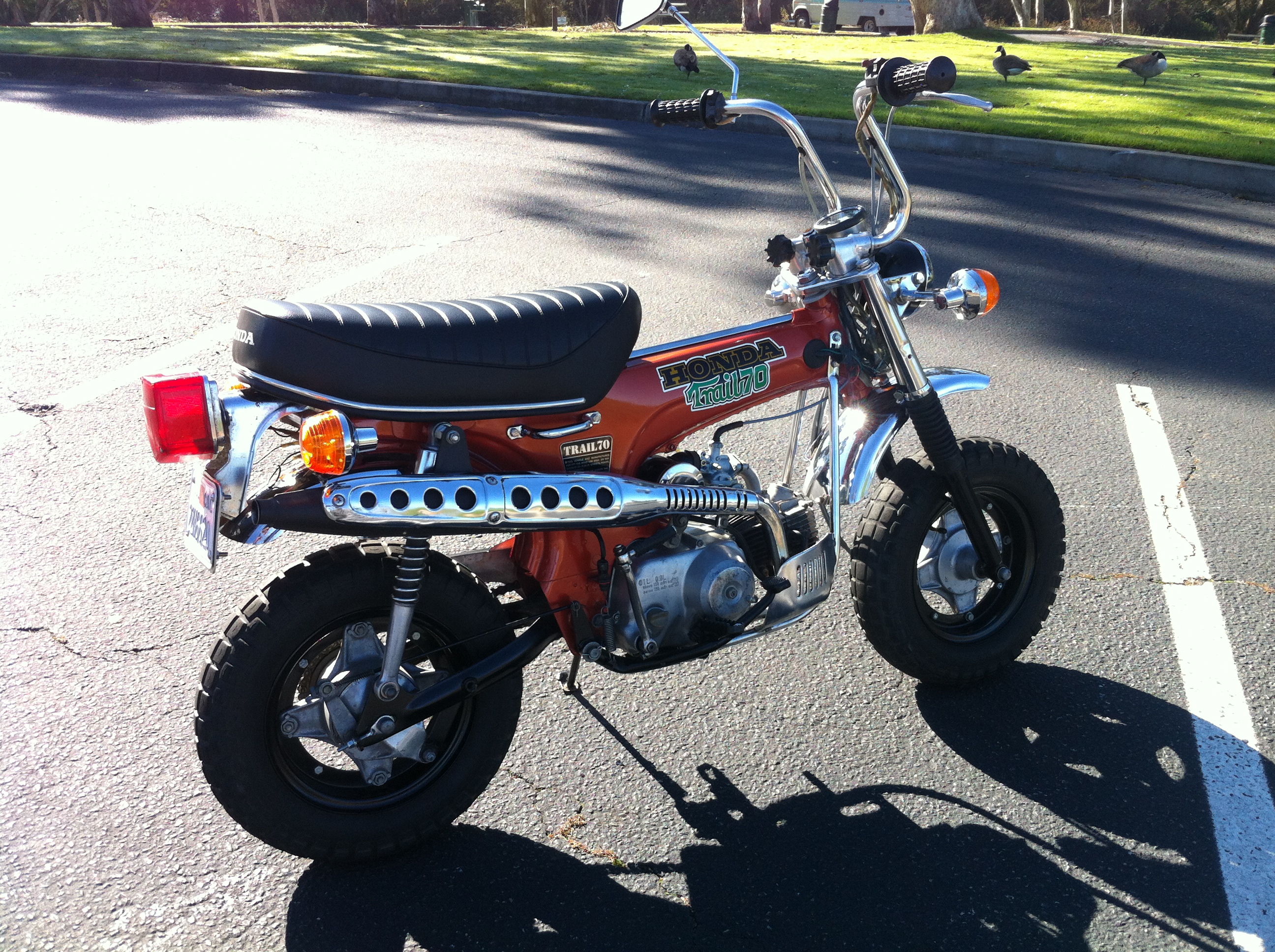 Photo 2765463