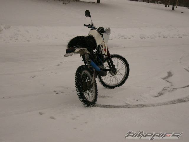 Photo 276547