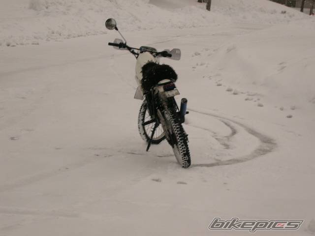 Photo 276548