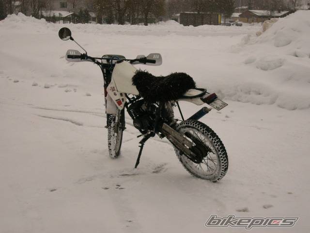 Photo 276550