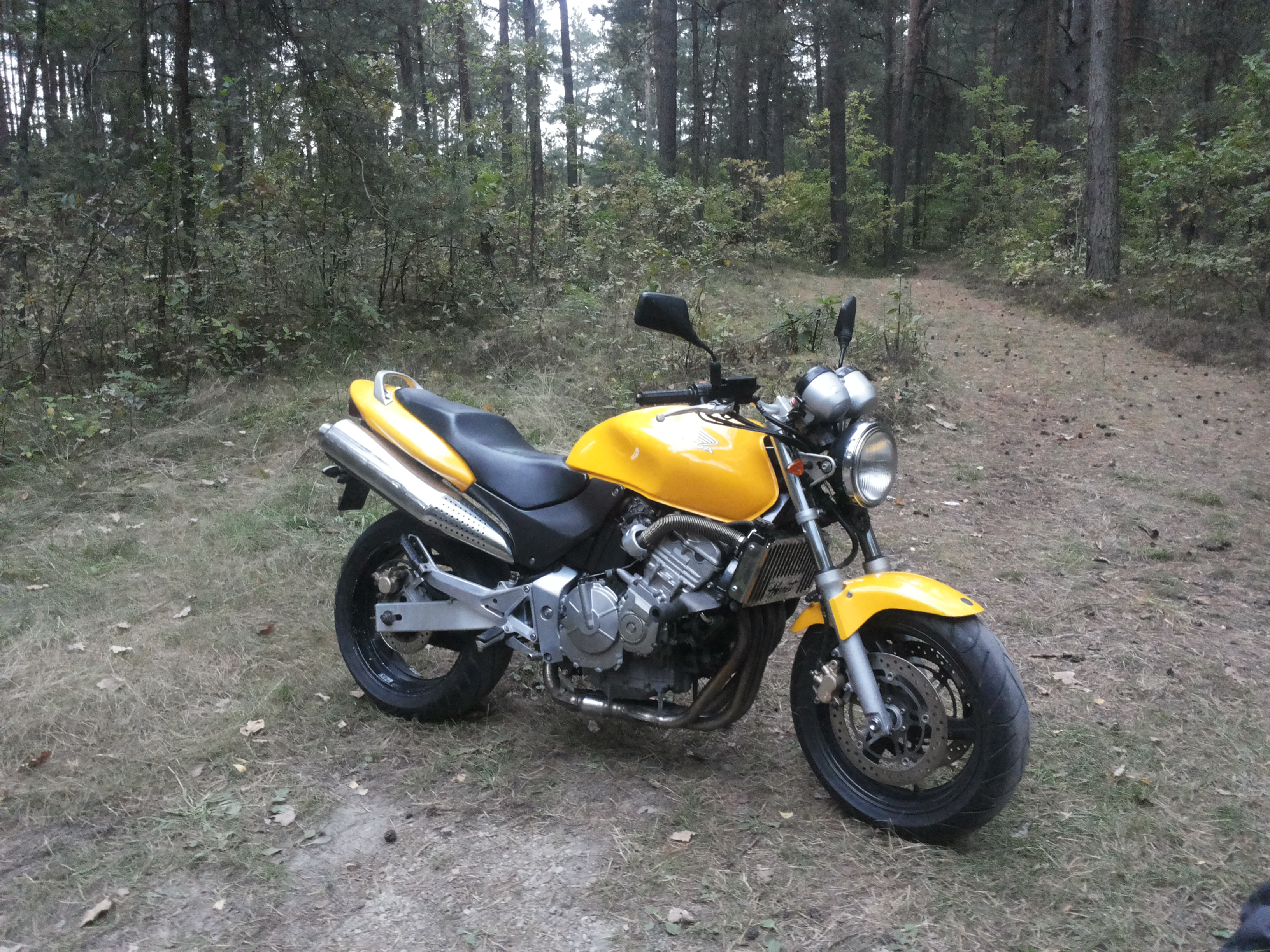 Photo 2765633